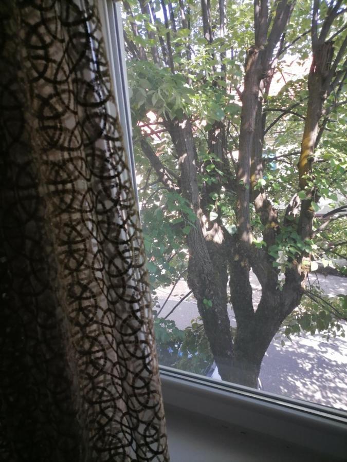 Apartmani 15 Cetinje Kültér fotó