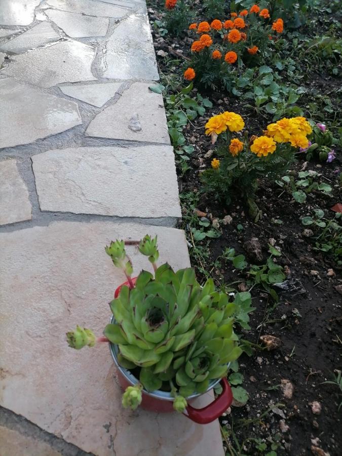 Apartmani 15 Cetinje Kültér fotó